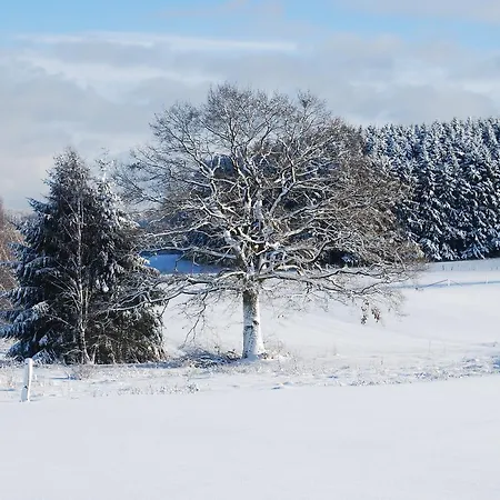 Le Relais Du Moulin 3* גדין