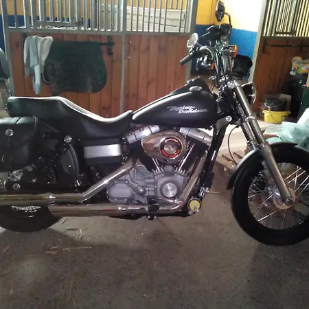 Le Relais Du Moulin לינה וארוחת בוקר גדין